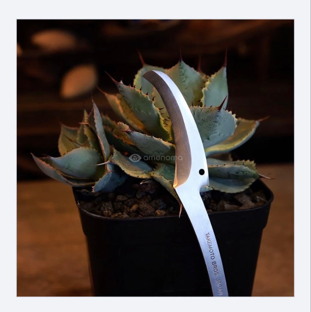 金彩の花柄と唐草」 伊万里 色絵そばちょこ(直径8cm)骨董アンティーク